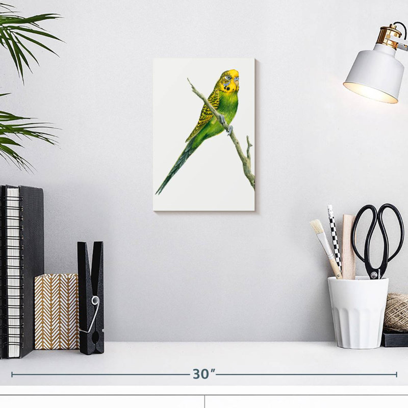 Brampt Perched Budgerigar, 12" H x 8" W