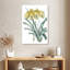 Harnek Antique Botanical III Cool-108383605