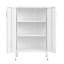 Armoires de rangement en acier avec 2 portes-2039280159