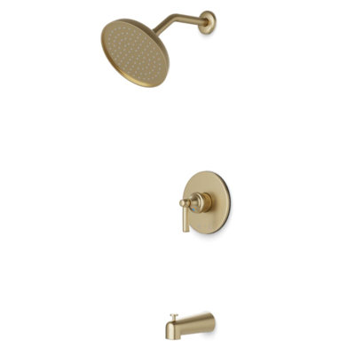 Complete Shower System