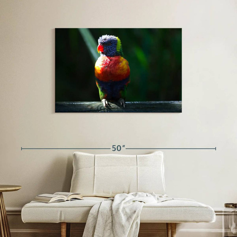 Brampt Sunlit Rainbow Lorikeet, 26" H x 39" W