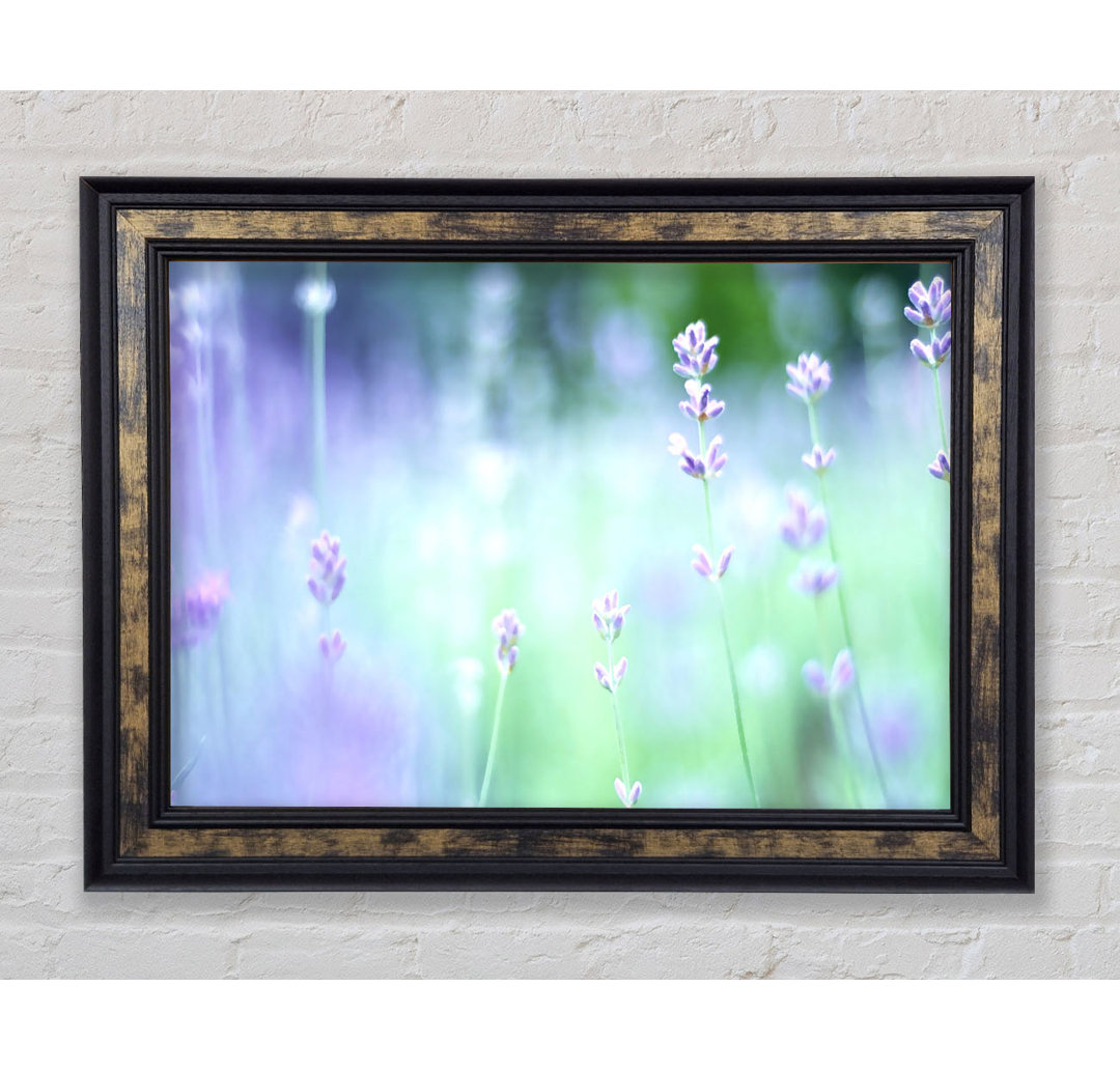 Soft Focus Kleine lila Blumen - Druck