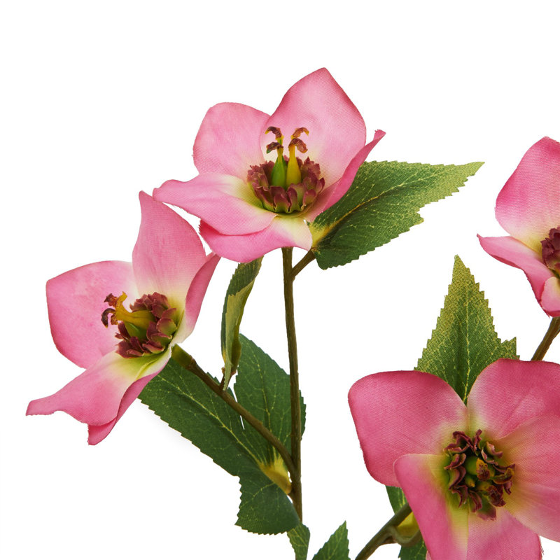 Anastasija Arrangement, 47 cm H x 15 cm W x 15 cm D, Pink
