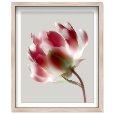 Crimson Core I Shadowbox Floral & Botanical Print by Oliver Gal, Black Frame, 16 x 20