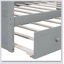 Canopy Day Bed With Trundle-931306670