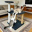 Scratching Post