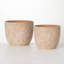 Harter Pot Planter - Set of 2-629568357