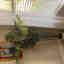 Customer photo 3 of 3