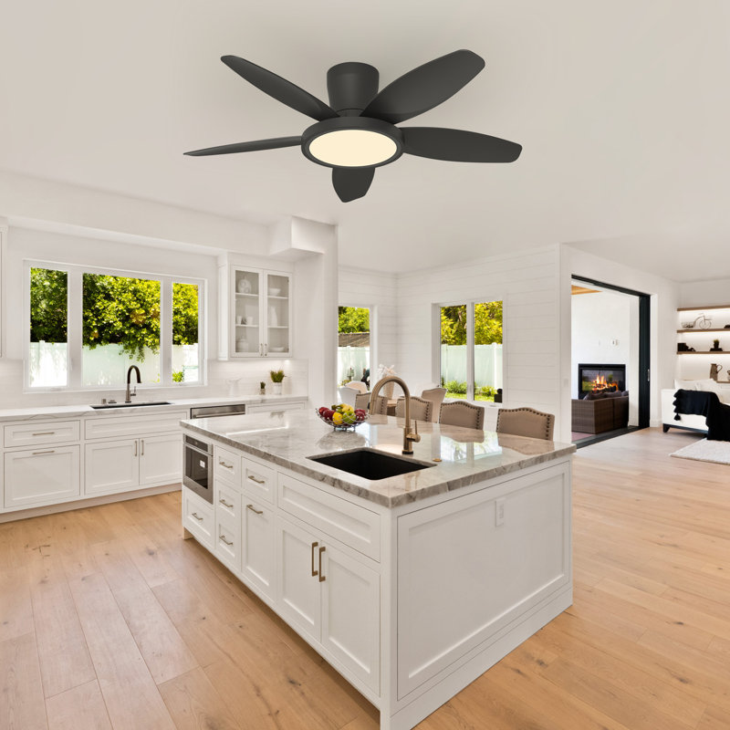106cm Ceiling Fan with LED Lights, Black, Black