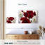 Amaryllis Harnek rouge et blanc-108731254