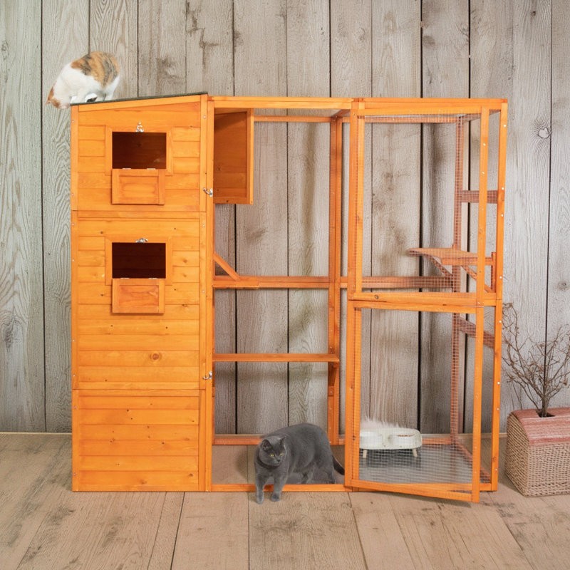 Big Cat Villa - orange