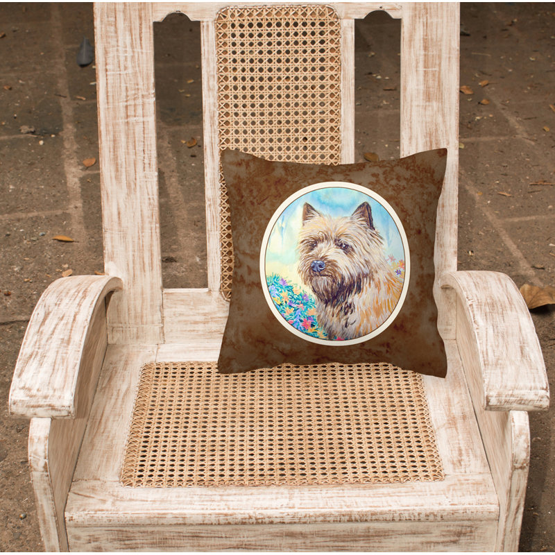 Outdoor Throw Pillow