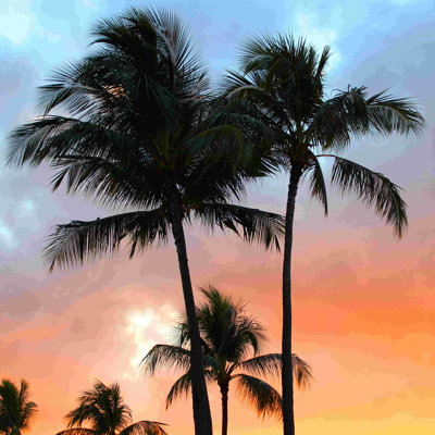 Coucher de soleil au coucher du soleil - photographie