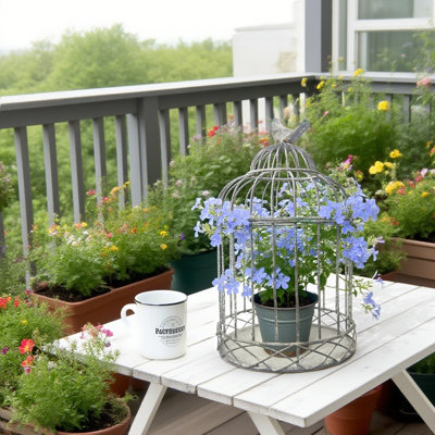 Decorative Birdcage