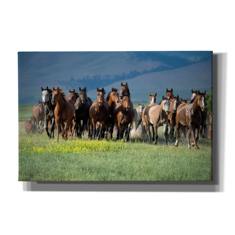 «Montana Thunder» par Lisa Dearing, estampe numérique sur toile, H 12 po x l 18 po x P 0,75 po