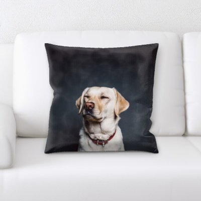 Aiden Dog Portrait Throw Pillow