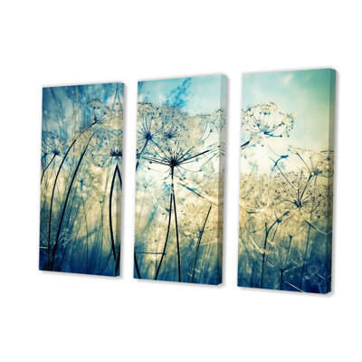 Mccray " Wildflowers In Meadow Blue Vintage Botanical V " 3 - Pieces