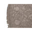 Wool Oriental Area Rug in Gray