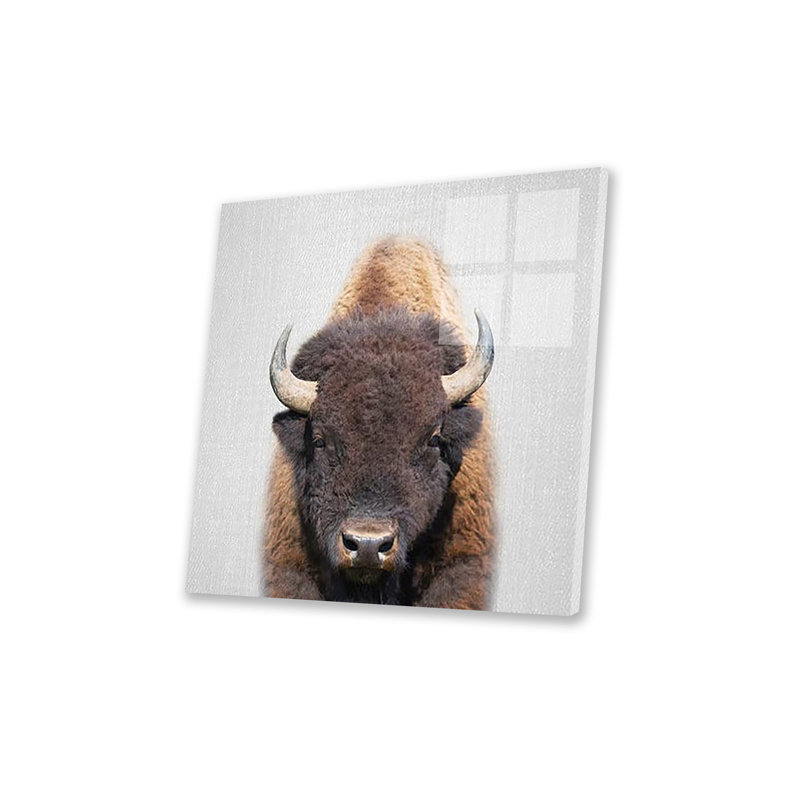 Buffle imprimé sur verre acrylique, H 24 po x l 24 po x P 0,25 po