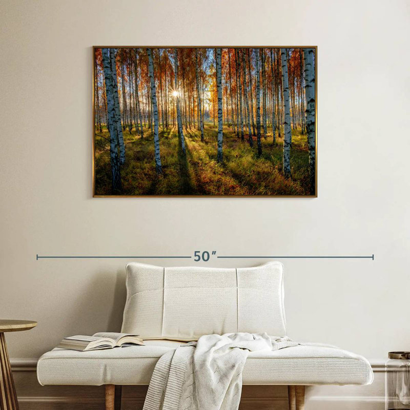 Forêt de bouleaux suédois, Cadre flottant doré, 40 po x 27 po