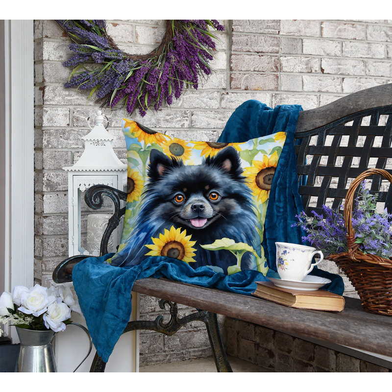 Other/No Pattern Outdoor Throw Pillow, 18" H x 18" W