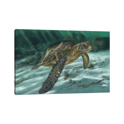 Sea Turtle by Richard Macwee - Wrapped Canvas Gallery-Wrapped Canvas Giclée