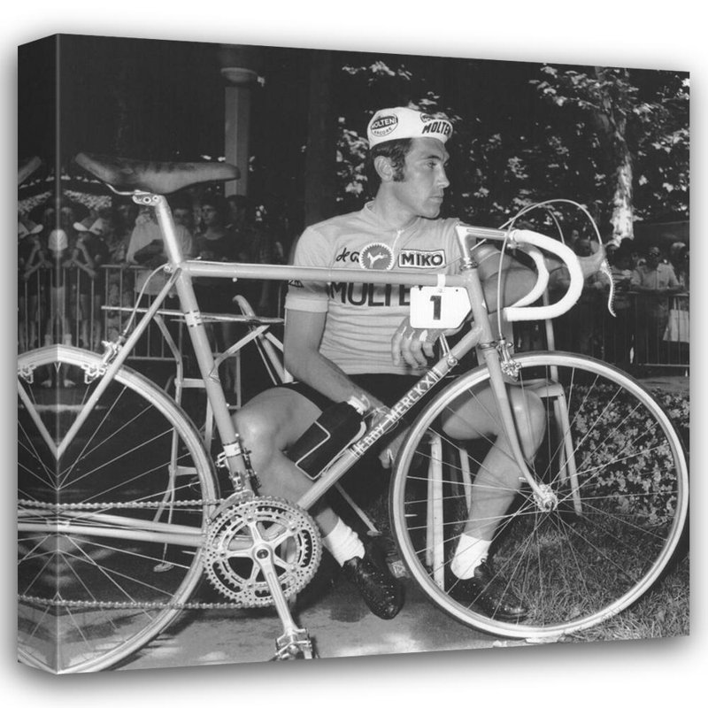 Incomparable Eddy Merckx IMA-P336, 37'' H x 36'' W