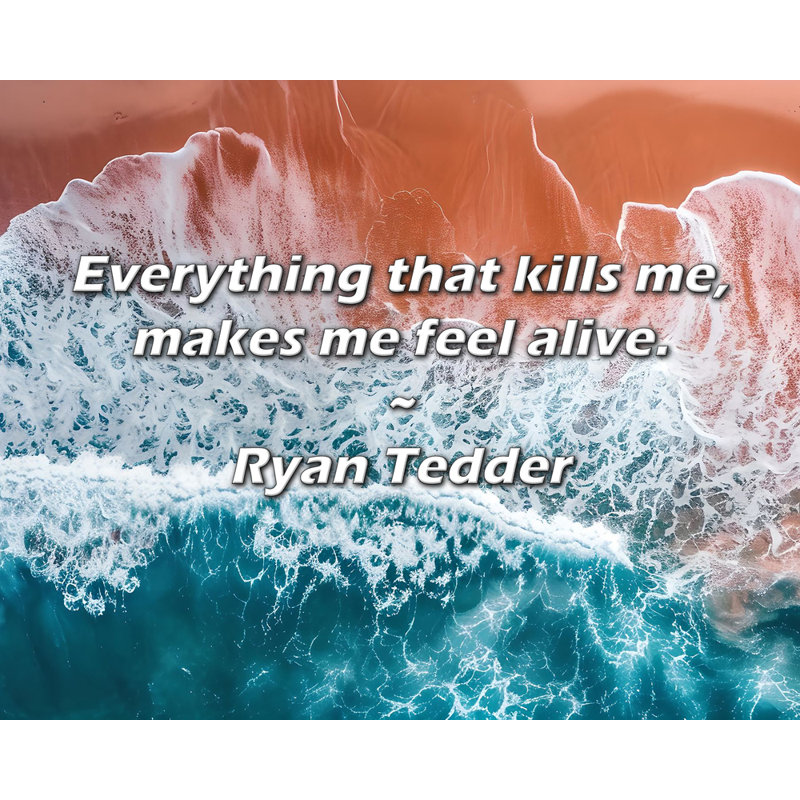 Citation artistique «Tout ce qui me tue, me fait me sentir en vie». Toile tendue par Ryan Tedder Gallery, H 28 po x l 40 po