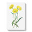 Yellow Starflowers - Wrapped Canvas Print-55300723