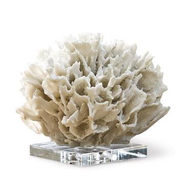 Zentique Off-White Resin Coral on Acrylic Base SHI064 - The Home Depot