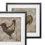 «Well Read Rooster», ensemble de 2 reproductions d'impressions encadrées-27611513