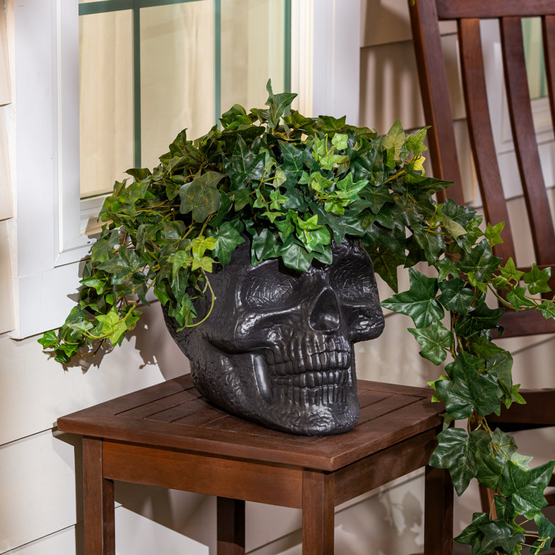 Pot à fleurs en forme de crâne de 11 po et porte-bonbon d'Halloween