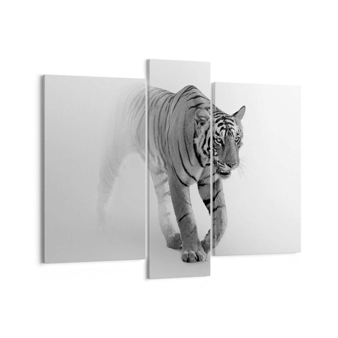 3-tlg. Leinwandbilder-Set Tiger Monochrome