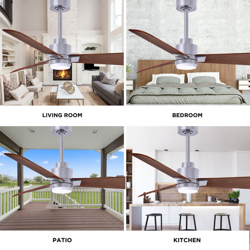 Alessandra - Three Blade Transitional Ceiling Fan -LED, Walnut, Brushed Nickel, 72"
