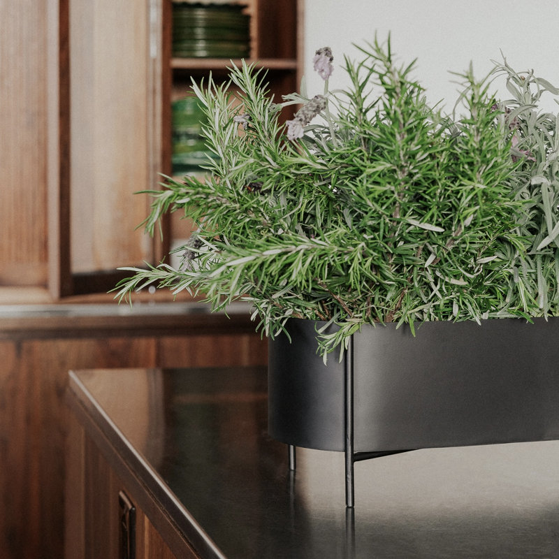 Planter Box, Black