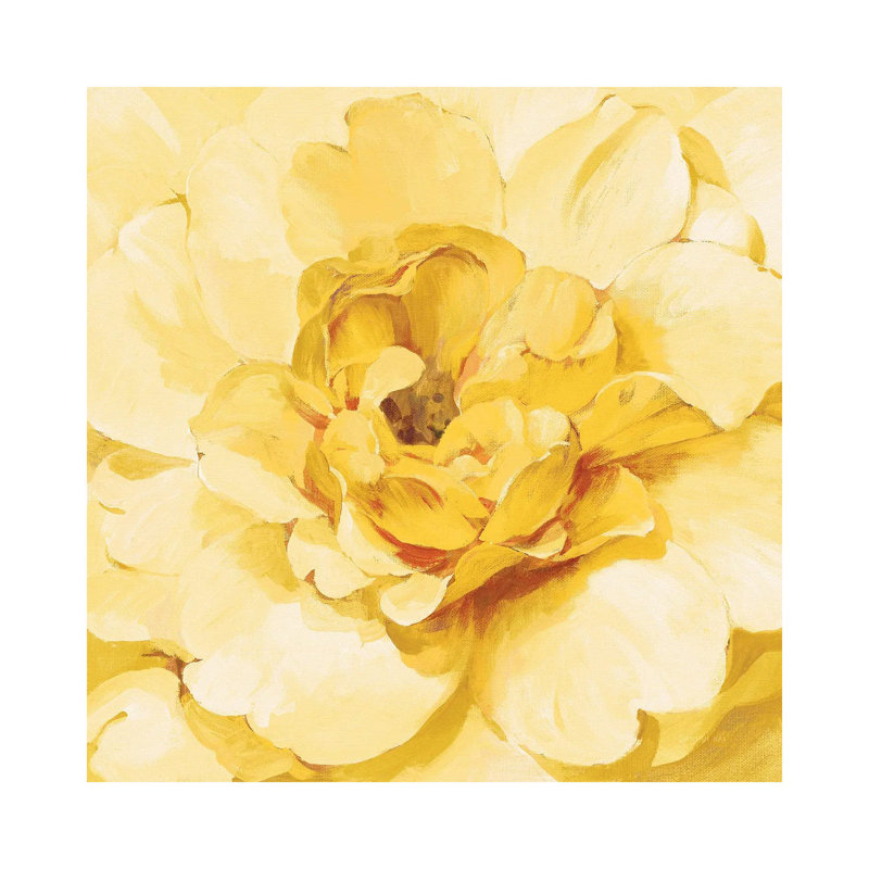 Pivoine jaune, H 37 po x l 37 po x P 1,5 po
