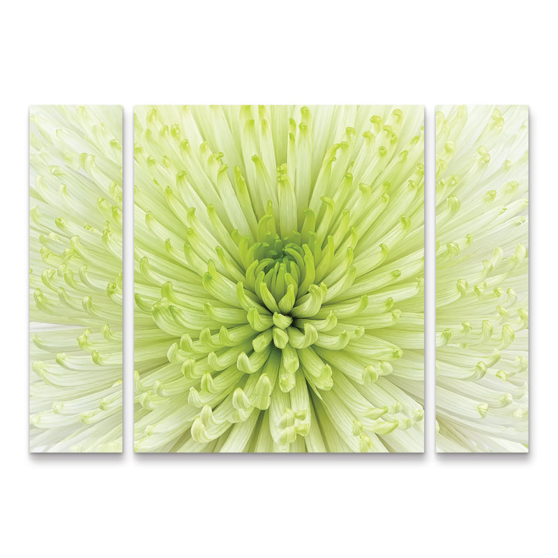 Ensemble de 3 panneaux Cora Niele «Lime Light Spider Mum», H 30 po x l 41 po x P 2 po