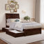 Lamayia Solid Wood Sleigh Platform Bed with Footboard and Storage Drawers-832896267-832896268
