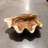 Calyce Clam Sea Shell Life Size Statue