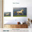 Brampt magnifique cheval Akhal Teke-106322390