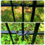 61 cm H x 61 cm W Iron Fence Panels Fencing with 5 Panel(s) Included-940263393