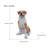 Lifelike Hound Dog Statue