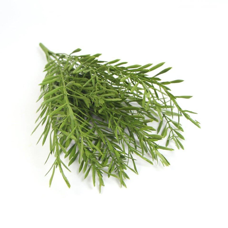 Annelies 40cm Plant
