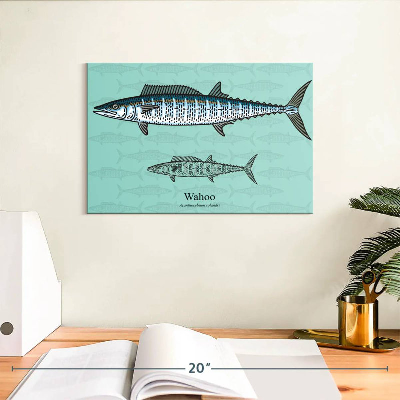 Brampt Wahoo Fish, 8" H x 12" W