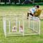Parc pour chien intérieur 24 pouces 8 panneaux enclos en métal pour animaux de compagnie-115238508-115238512