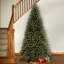 The Holiday Aisle® North Valley Spruce Tree-1548236832