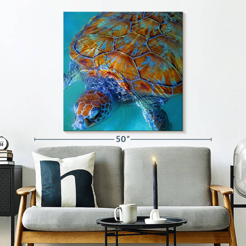 Tortue de mer Brampt Cayman, H 33 po x l 33 po