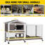 Weather Resistant Hutch with Ramp-1717742245