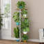 Plant Stand