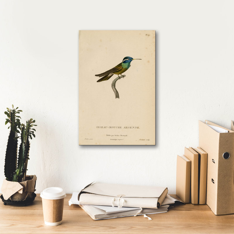 «Oiseau-mouche Arsenne» par Art Licensing Studio, art mural sur toile, H 18 po x l 12 po x P 0,75 po